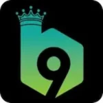 B9 Game